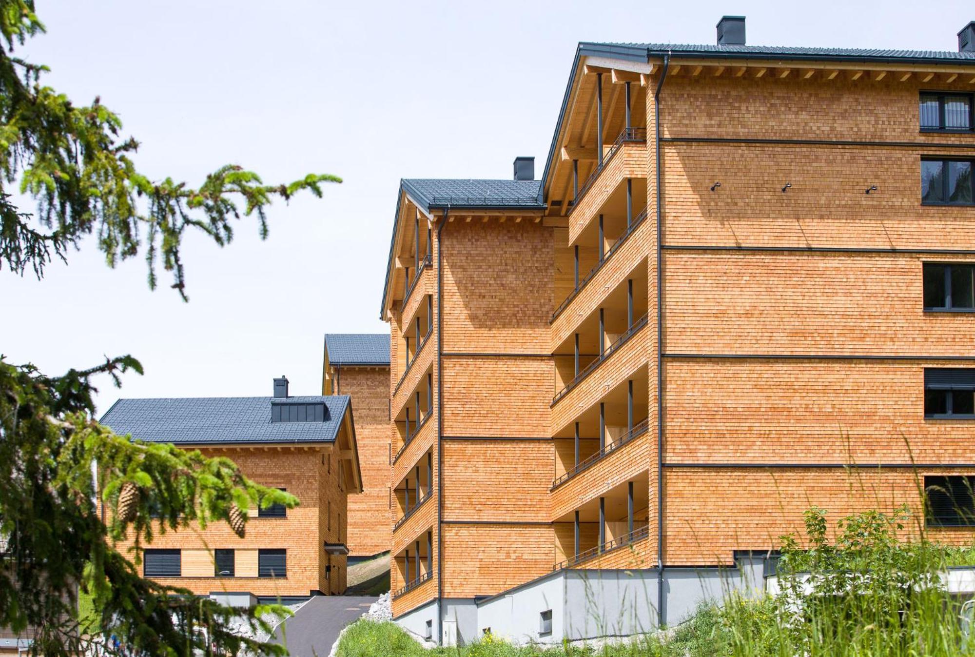 Appartement Alpenstolz Damuels Haus 3 - Stilvoll Urlauben In Den Bergen Extérieur photo